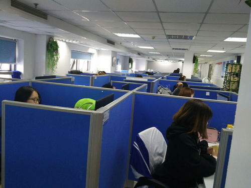 上海回声网络科技 专业网络技术服务领航者